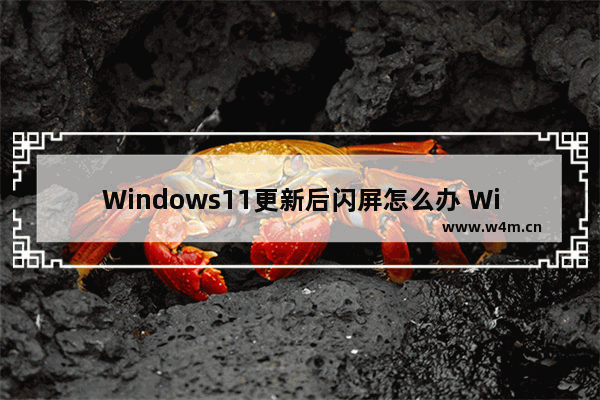 Windows11更新后闪屏怎么办 Windows11更新后闪屏的解决方法