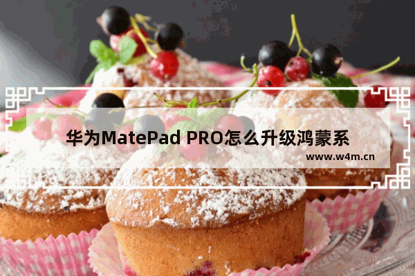 华为MatePad PRO怎么升级鸿蒙系统 MatePad PRO鸿蒙系统升级教程