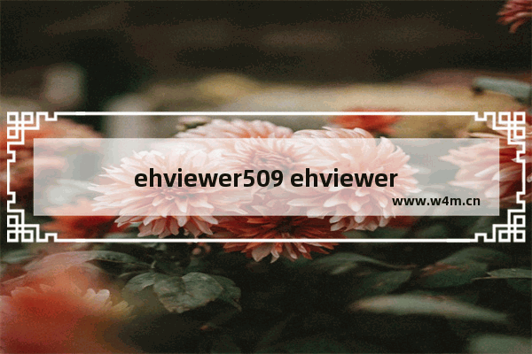 ehviewer509 ehviewer509怎么解决