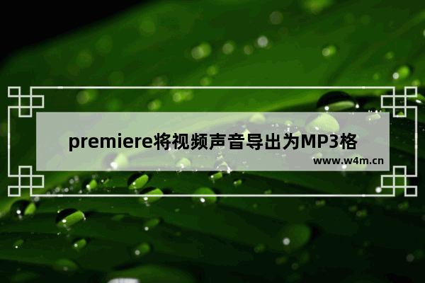 premiere将视频声音导出为MP3格式教程