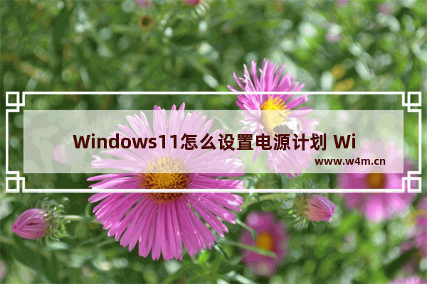 Windows11怎么设置电源计划 Windows11设置电源计划方法