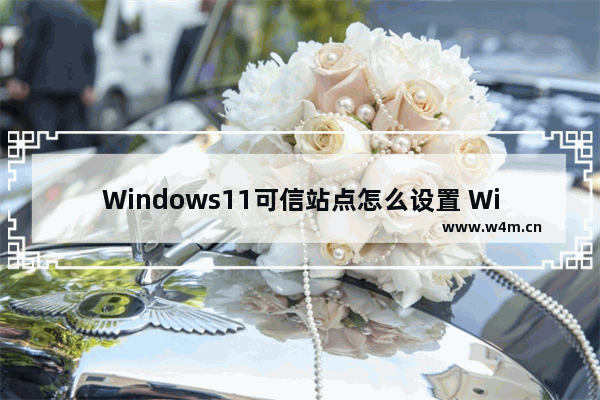 Windows11可信站点怎么设置 Windows11可信站点设置方法