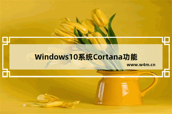 Windows10系统Cortana功能设置教程