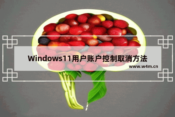 Windows11用户账户控制取消方法