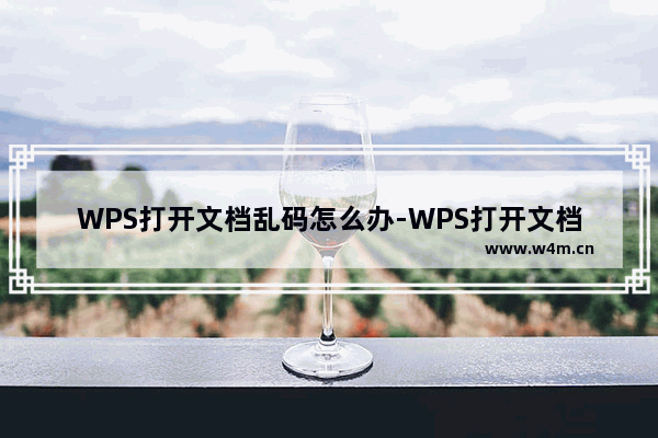 WPS打开文档乱码怎么办-WPS打开文档乱码解决方法