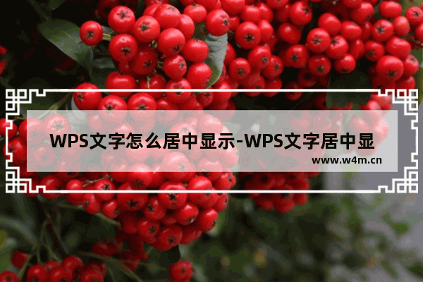 WPS文字怎么居中显示-WPS文字居中显示方法