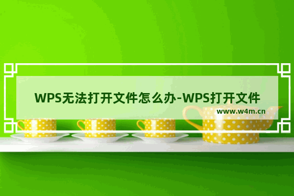 WPS无法打开文件怎么办-WPS打开文件的设置方法