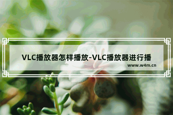 VLC播放器怎样播放-VLC播放器进行播放使用方法