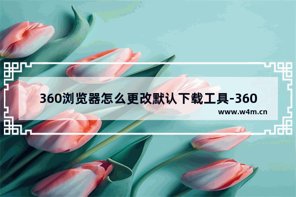 360浏览器怎么更改默认下载工具-360浏览器更改默认下载工具方法