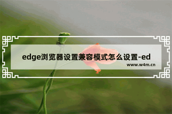 edge浏览器设置兼容模式怎么设置-edge浏览器兼容性设置步骤