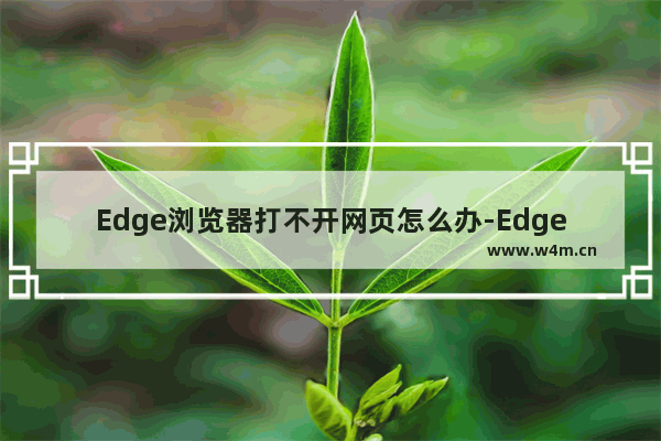 Edge浏览器打不开网页怎么办-Edge浏览器打不开网页的解决方法