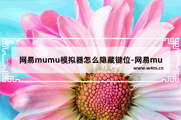 网易mumu模拟器怎么隐藏键位-网易mumu模拟器隐藏键位的方法