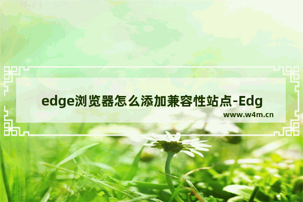 edge浏览器怎么添加兼容性站点-Edge浏览器添加兼容性站点的方法