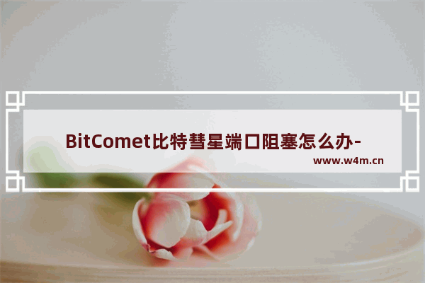 BitComet比特彗星端口阻塞怎么办-BitComet比特彗星端口阻塞解决办法