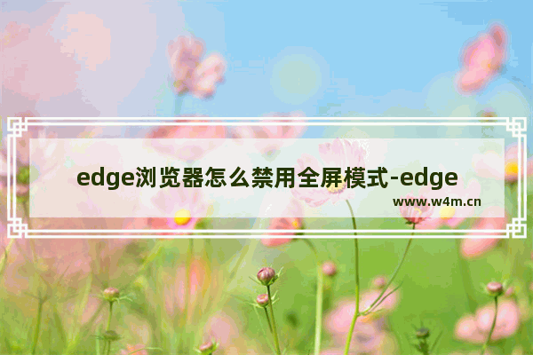 edge浏览器怎么禁用全屏模式-edge浏览器禁用全屏模式方法