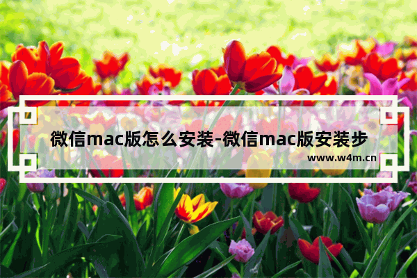 微信mac版怎么安装-微信mac版安装步骤