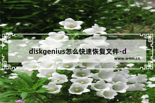 diskgenius怎么快速恢复文件-diskgenius快速恢复文件的办法