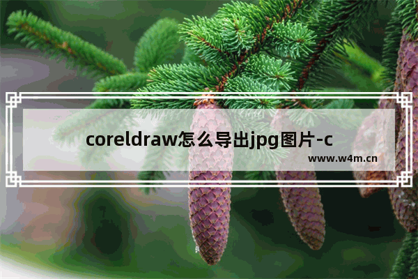 coreldraw怎么导出jpg图片-coreldraw导出jpg图片的方法