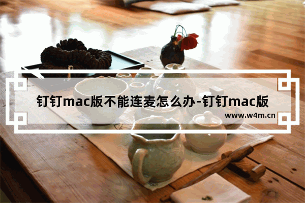 钉钉mac版不能连麦怎么办-钉钉mac版连麦步骤