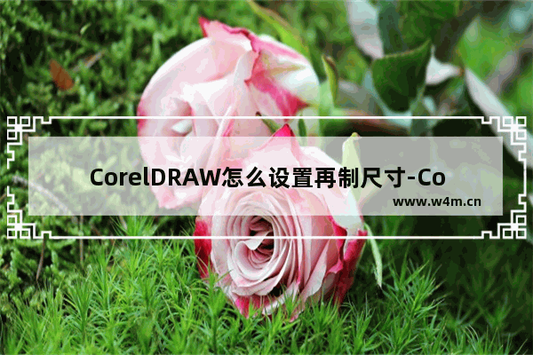 CorelDRAW怎么设置再制尺寸-CorelDRAW设置再制尺寸的方法