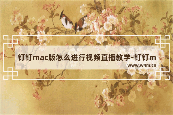 钉钉mac版怎么进行视频直播教学-钉钉mac版视频直播教学步骤