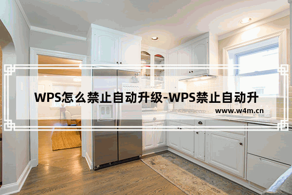 WPS怎么禁止自动升级-WPS禁止自动升级方法