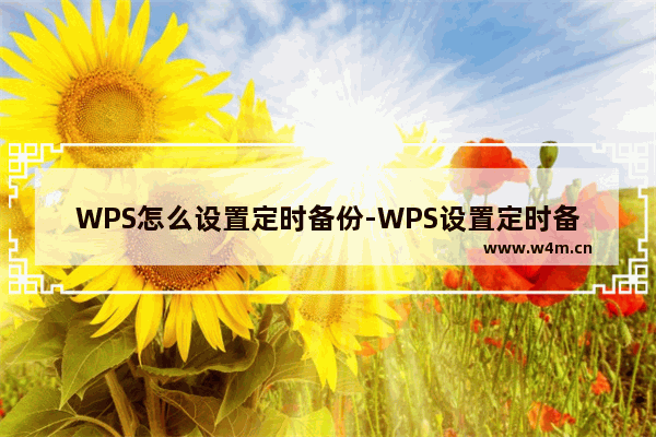 WPS怎么设置定时备份-WPS设置定时备份方法