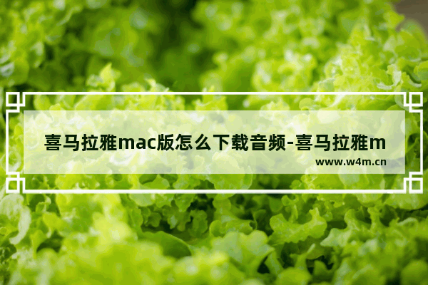 喜马拉雅mac版怎么下载音频-喜马拉雅mac下载音频步骤