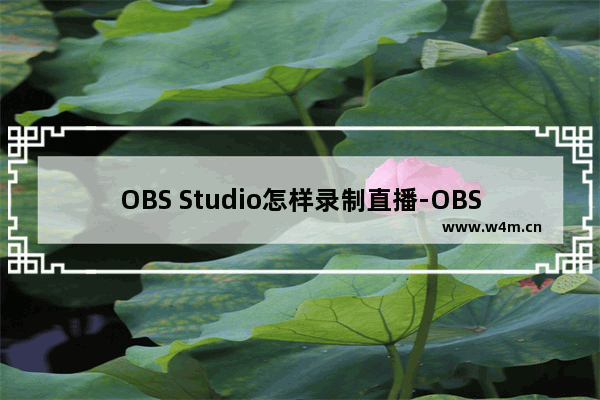 OBS Studio怎样录制直播-OBS Studio录制直播的方法