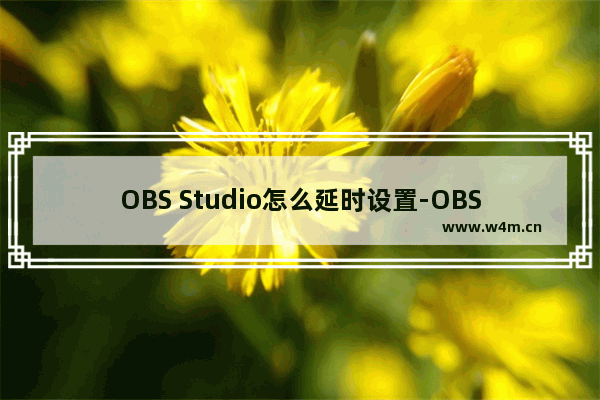 OBS Studio怎么延时设置-OBS Studio延时设置的方法