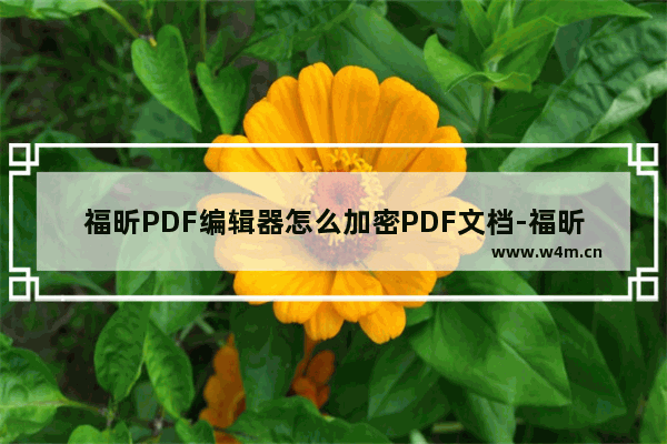 福昕PDF编辑器怎么加密PDF文档-福昕PDF编辑器加密PDF文档方法