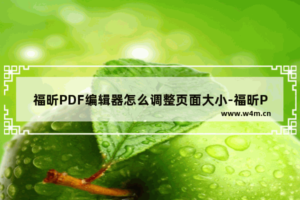 福昕PDF编辑器怎么调整页面大小-福昕PDF编辑器调整页面大小方法