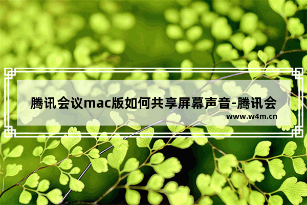 腾讯会议mac版如何共享屏幕声音-腾讯会议mac版共享屏幕声音教程