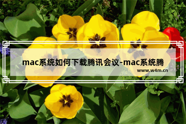 mac系统如何下载腾讯会议-mac系统腾讯会议下载步骤