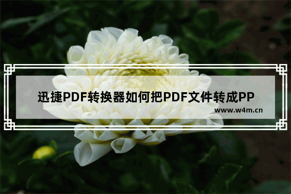 迅捷PDF转换器如何把PDF文件转成PPT幻灯片-迅捷PDF转换器把PDF文件转成PPT幻灯片的方法