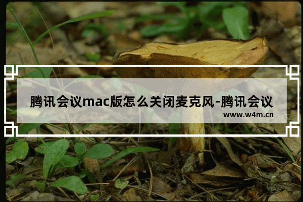 腾讯会议mac版怎么关闭麦克风-腾讯会议mac版关闭麦克风教程