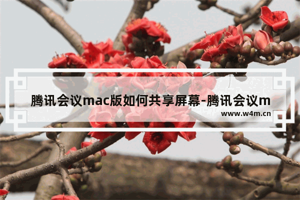 腾讯会议mac版如何共享屏幕-腾讯会议mac版共享屏幕方法