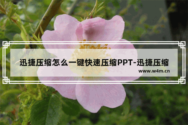 迅捷压缩怎么一键快速压缩PPT-迅捷压缩一键快速压缩PPT的方法