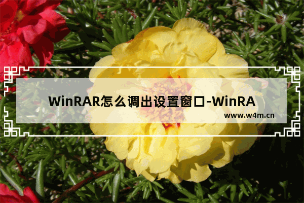 WinRAR怎么调出设置窗口-WinRAR调出设置窗口的方法