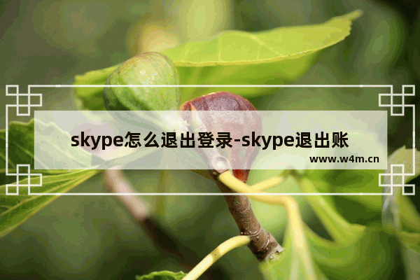 skype怎么退出登录-skype退出账号步骤