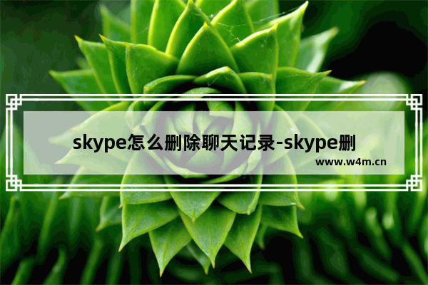 skype怎么删除聊天记录-skype删除聊天记录步骤