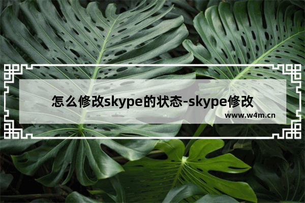 怎么修改skype的状态-skype修改状态步骤