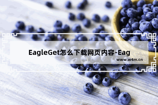 EagleGet怎么下载网页内容-EagleGet下载网页内容的方法