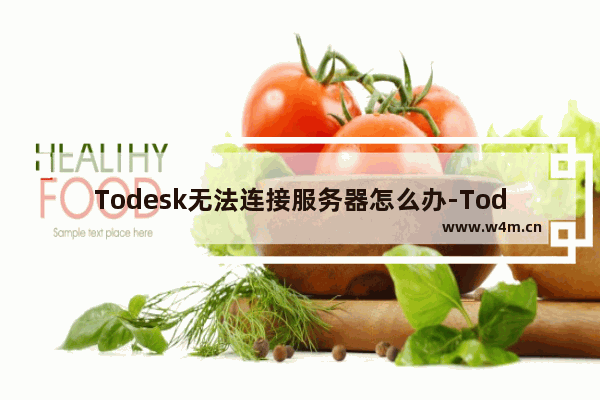 Todesk无法连接服务器怎么办-Todesk无法连接服务器解决办法