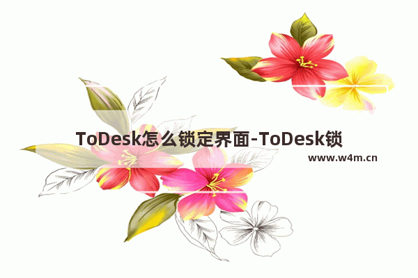 ToDesk怎么锁定界面-ToDesk锁定界面的方法