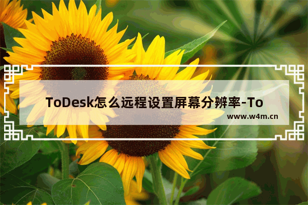 ToDesk怎么远程设置屏幕分辨率-ToDesk远程设置屏幕分辨率的办法