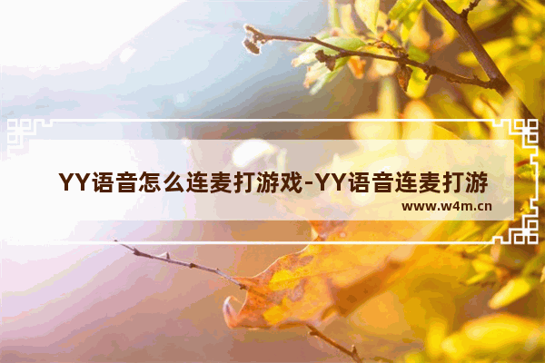 YY语音怎么连麦打游戏-YY语音连麦打游戏方法