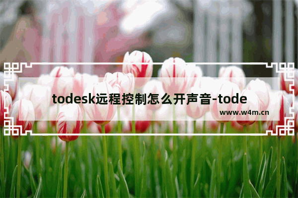 todesk远程控制怎么开声音-todesk远程控制开声音的方法