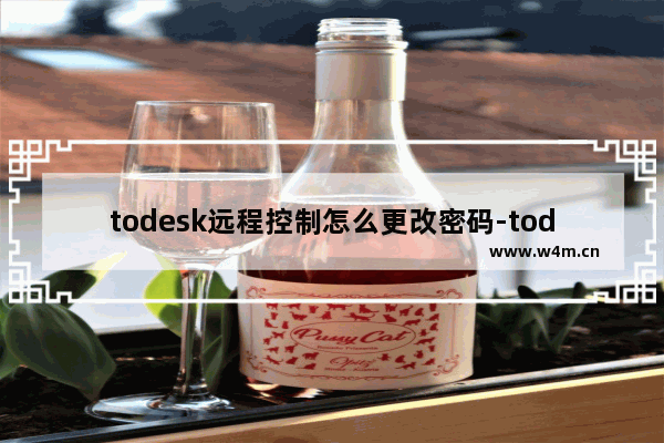 todesk远程控制怎么更改密码-todesk远程控制更改密码的方法