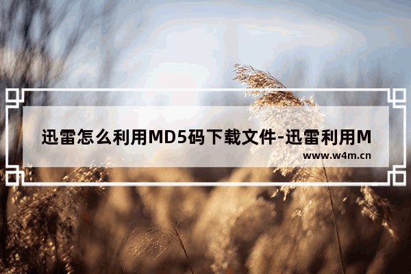 迅雷怎么利用MD5码下载文件-迅雷利用MD5码下载文件方法